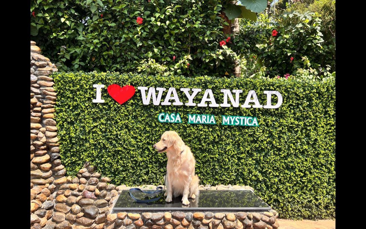 Casa Maria Mystica Apartments, Mananthavady, Wayanad Zewnętrze zdjęcie